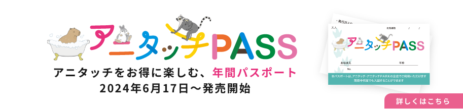 アニタッチ PASSバナー