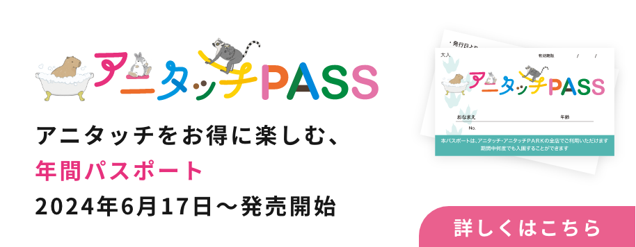 アニタッチ PASSバナー